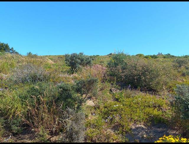 LAND FOR SALE IN SANDY POINT